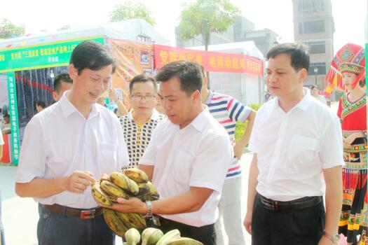 宜州区党委常委,宣传部部长蒙润武告诉记者,宜州区党
