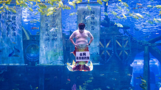 图为胖人鱼“猪鲤”表演剧照。融创海世界 供图